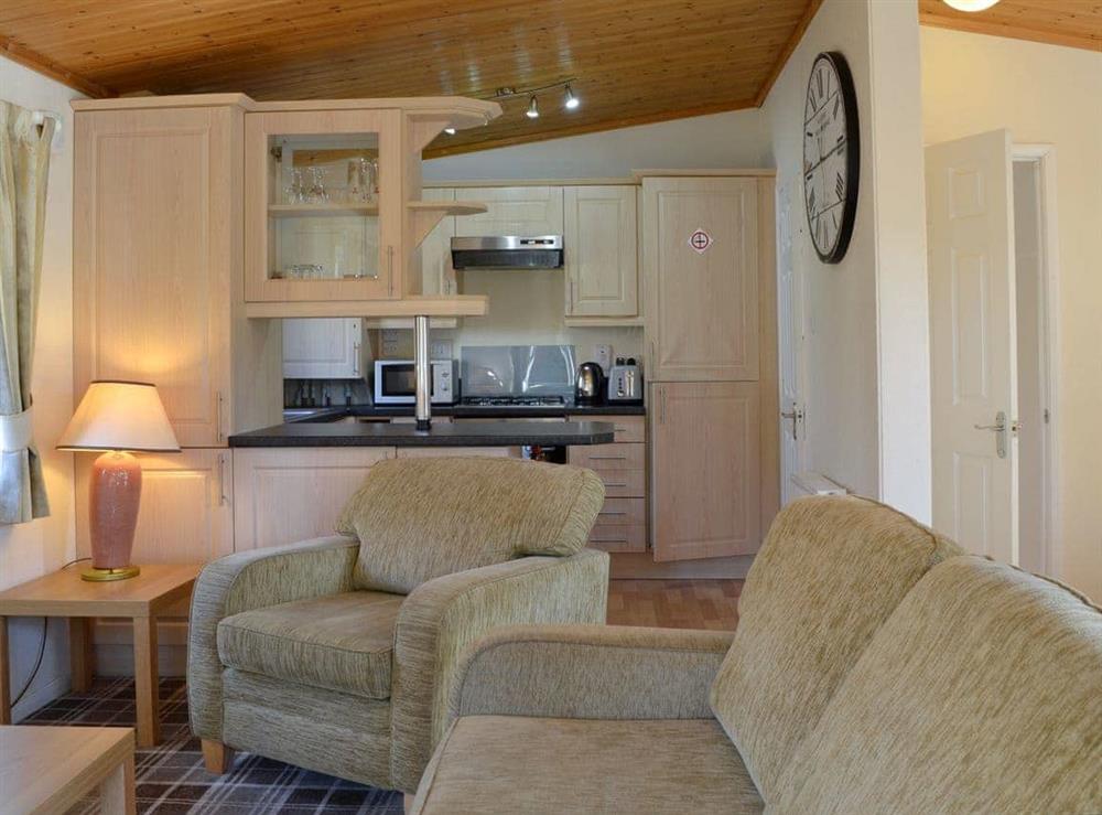 Open plan living space (photo 2) at Royal Deeside Woodland Lodges- Lodge C in Dinnet, near Ballater, Aberdeenshire