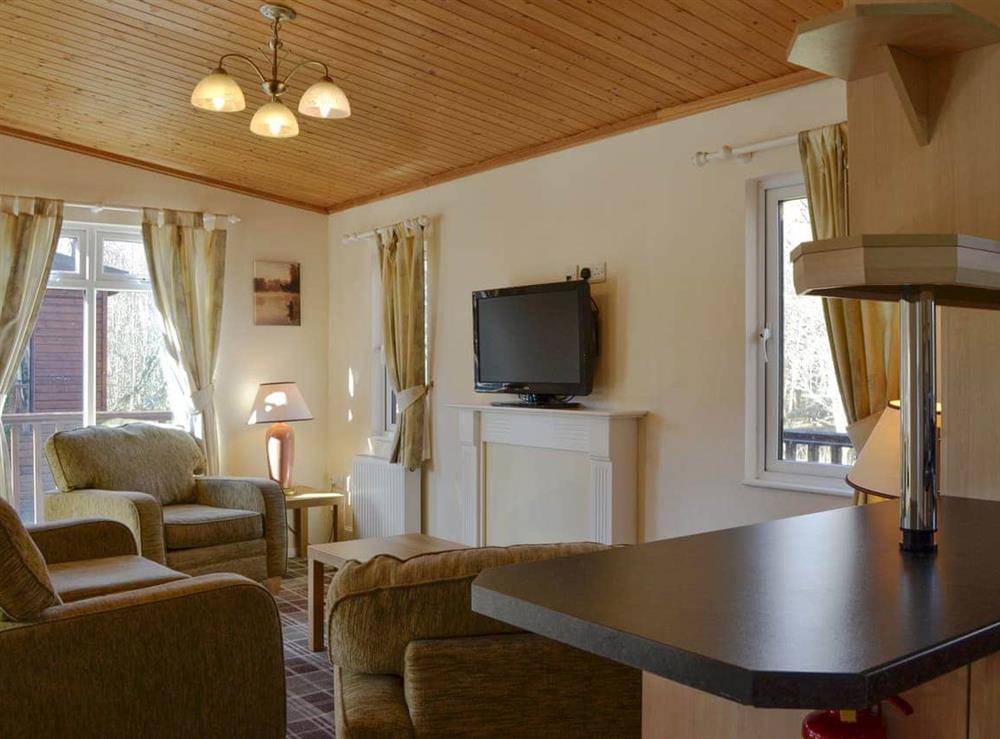 Open plan living space at Royal Deeside Woodland Lodges- Lodge C in Dinnet, near Ballater, Aberdeenshire