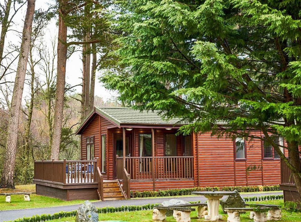 Exterior (photo 2) at Royal Deeside Woodland Lodges- Lodge D in Dinnet, near Ballater, Aberdeenshire