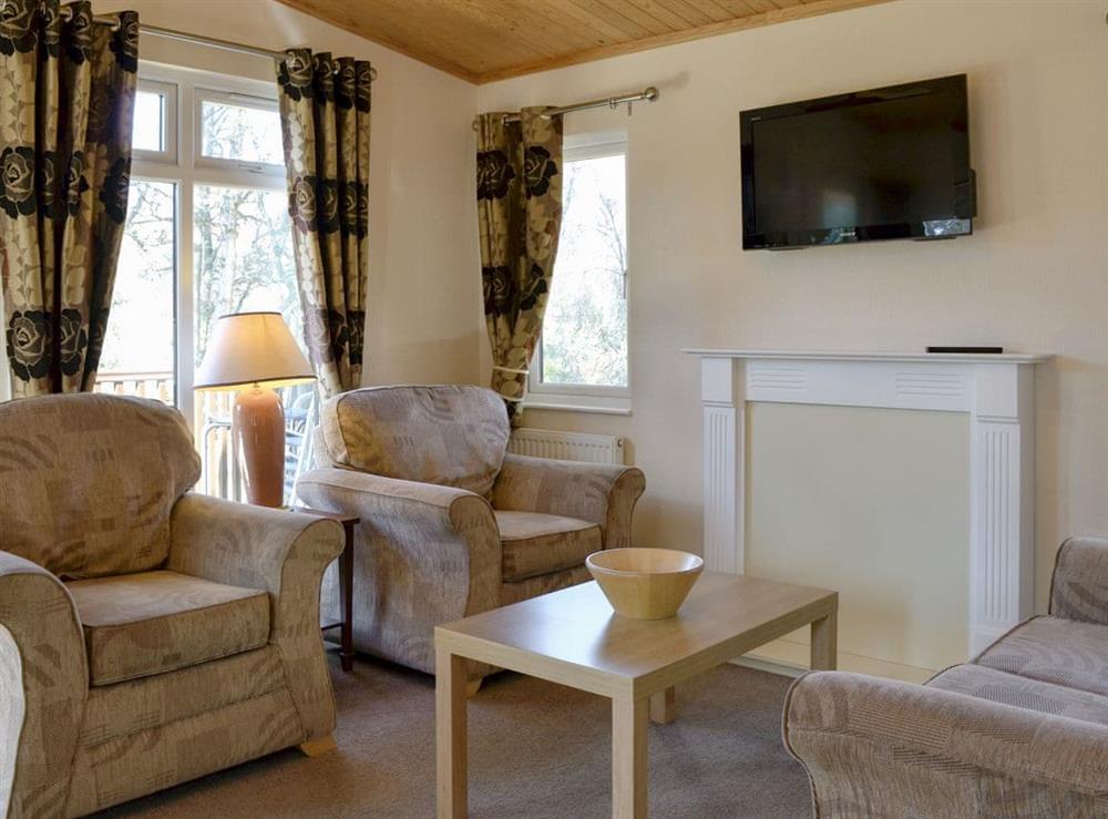 Living area at Royal Deeside Woodland Lodges- Lodge D in Dinnet, near Ballater, Aberdeenshire