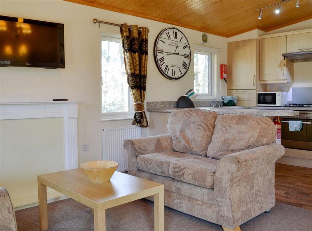 Open plan living space at Royal Deeside Woodland Lodges- Lodge D in Dinnet, near Ballater, Aberdeenshire