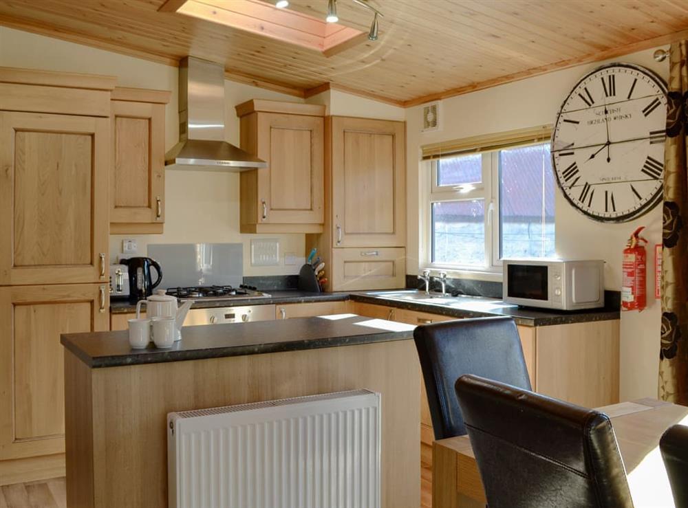 Kitchen at Royal Deeside Woodland Lodges- Lodge E in Dinnet, near Ballater, Aberdeenshire