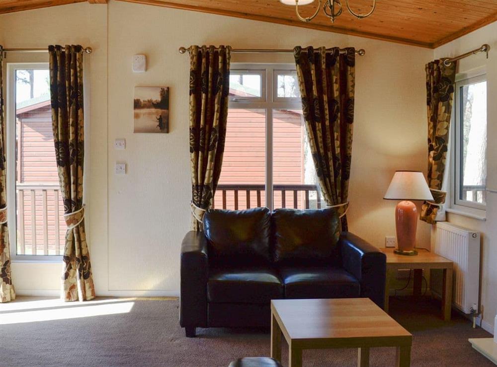 Living area (photo 2) at Royal Deeside Woodland Lodges- Lodge F in Dinnet, near Ballater, Aberdeenshire