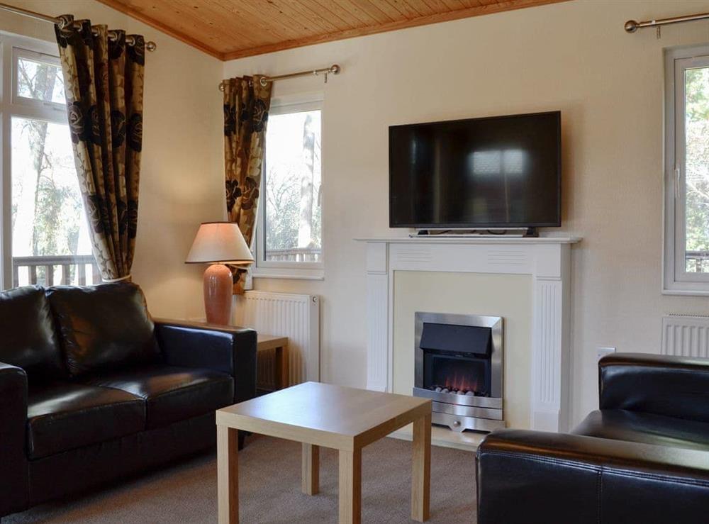 Living area at Royal Deeside Woodland Lodges- Lodge F in Dinnet, near Ballater, Aberdeenshire