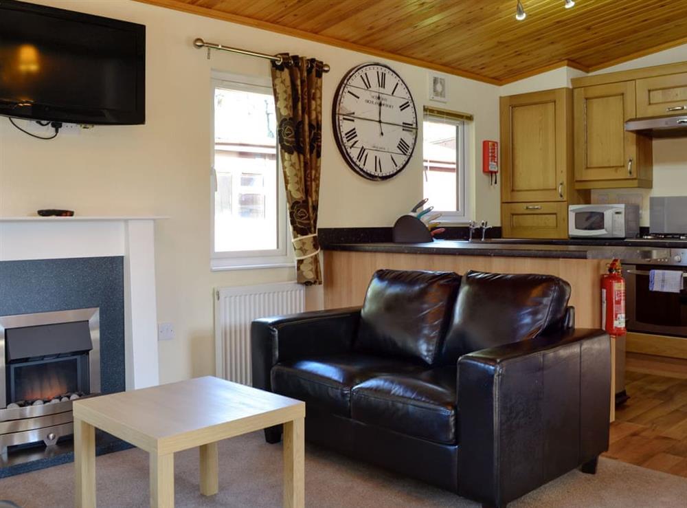 Open plan living space (photo 2) at Royal Deeside Woodland Lodges- Lodge G in Dinnet, near Ballater, Aberdeenshire