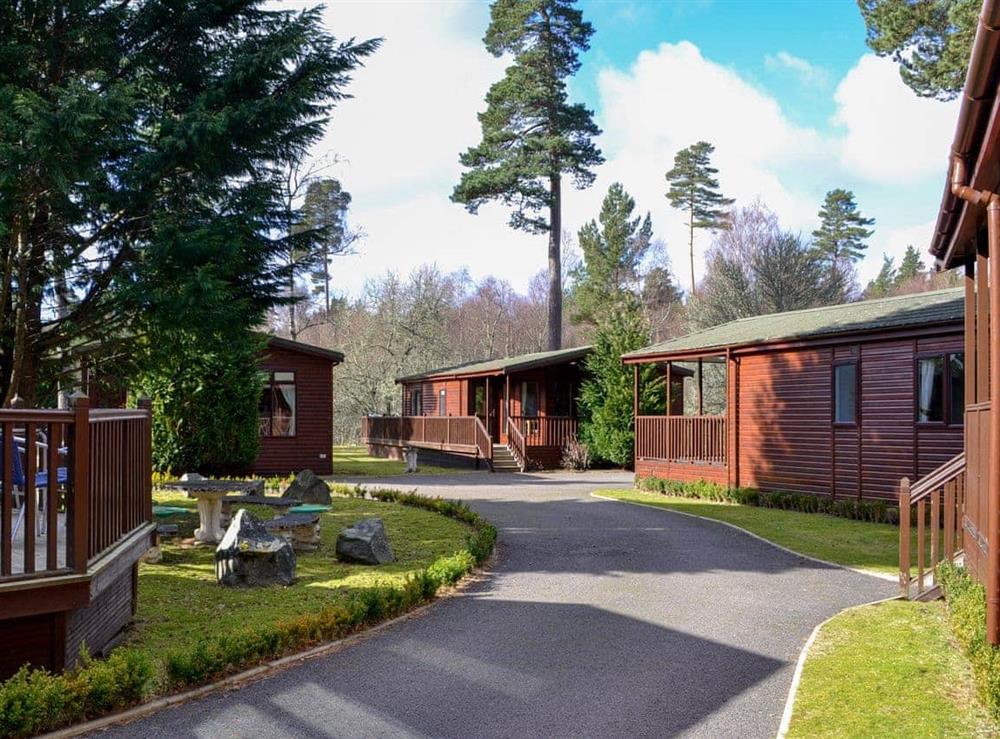Setting at Royal Deeside Woodland Lodges- Lodge G in Dinnet, near Ballater, Aberdeenshire