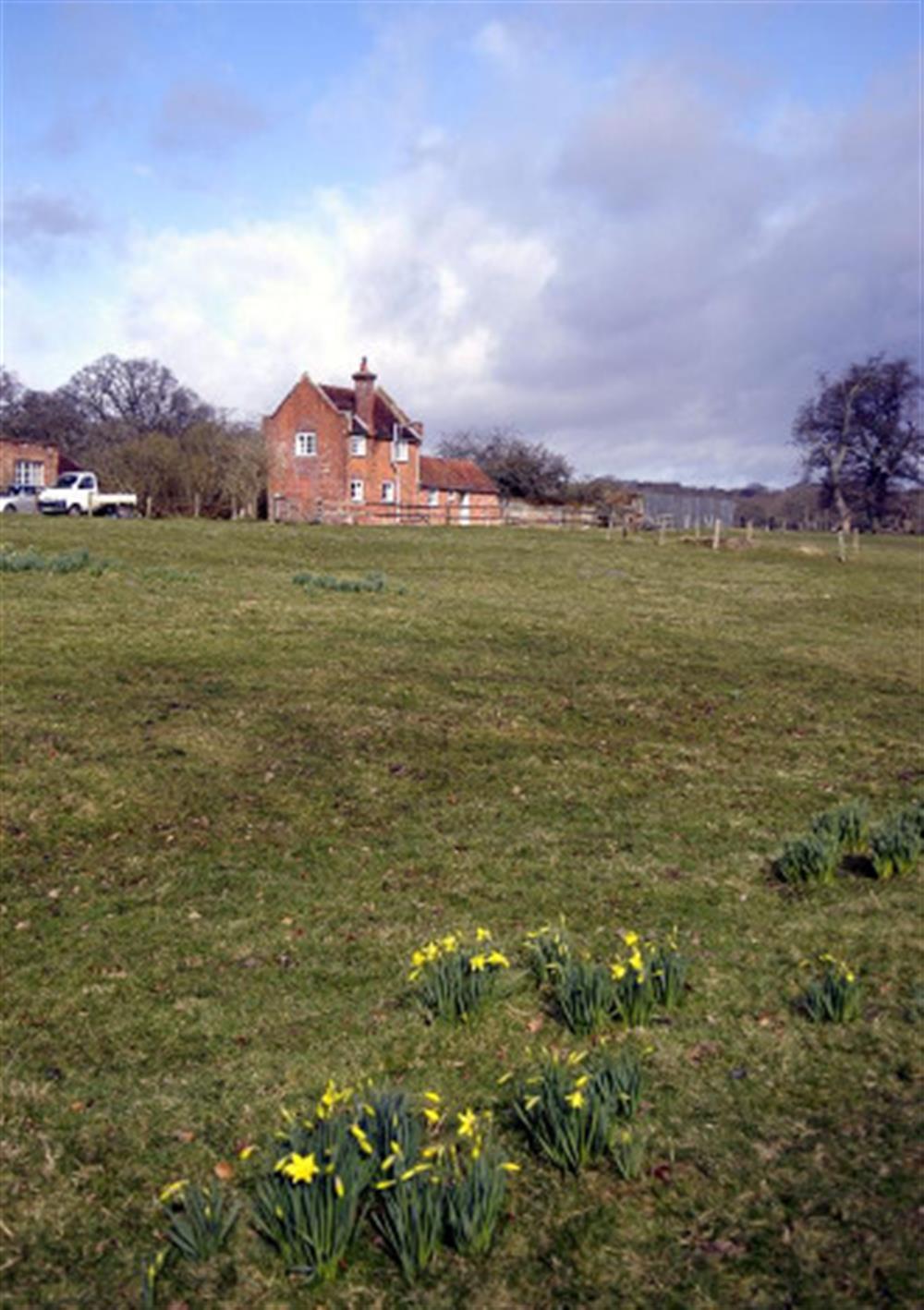Distance view at Royden Manor Annexe in Brockenhurst