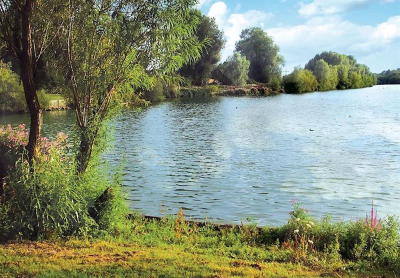 Roydon Mill lake at Roydon Mill Lodges in Essex, East of England