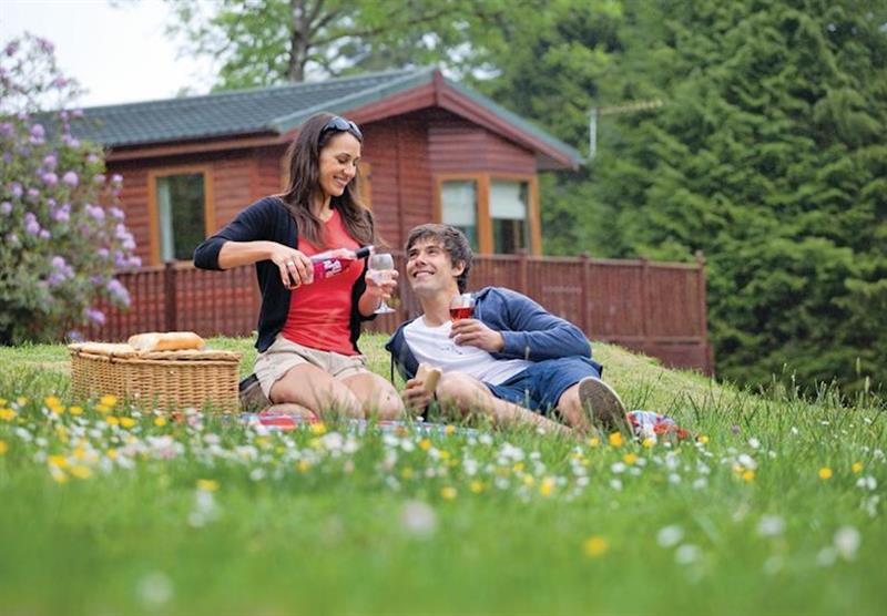 Photo 2 at Ruby Country Lodges in Devon, South West of England