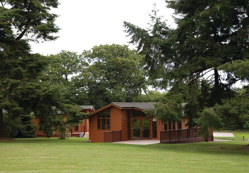 The lodge setting at Ruby Country Lodges in Devon, South West of England