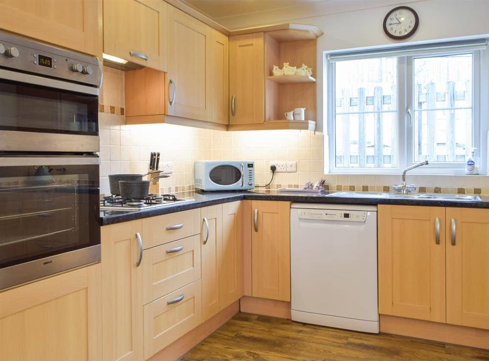 Kitchen at Ruby Willows in Saundersfoot, Dyfed