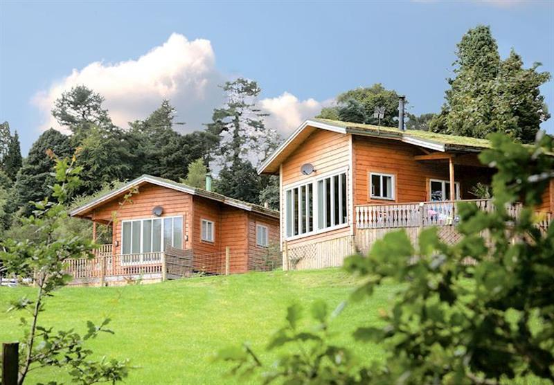 The lodge setting at Rudyard Lake Lodges in Staffordshire, Heart of England