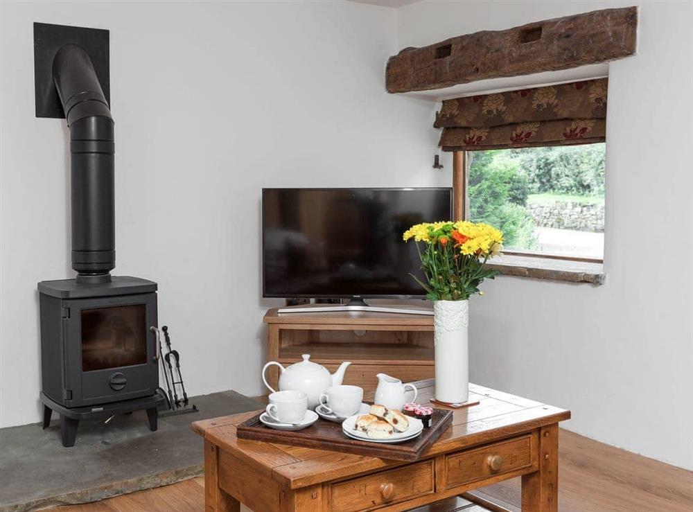 Living room with wood burner at Rue Hayes Farm Barn in Onecote, near Leek, Derbyshire