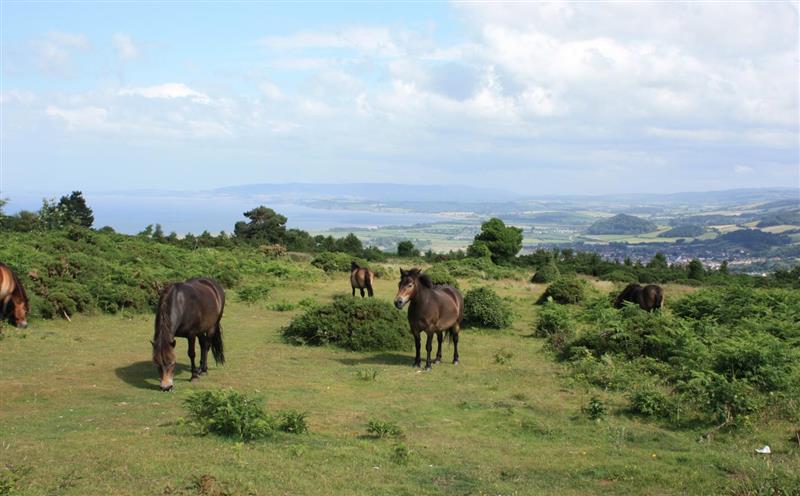 The setting around Ruffles Cottage