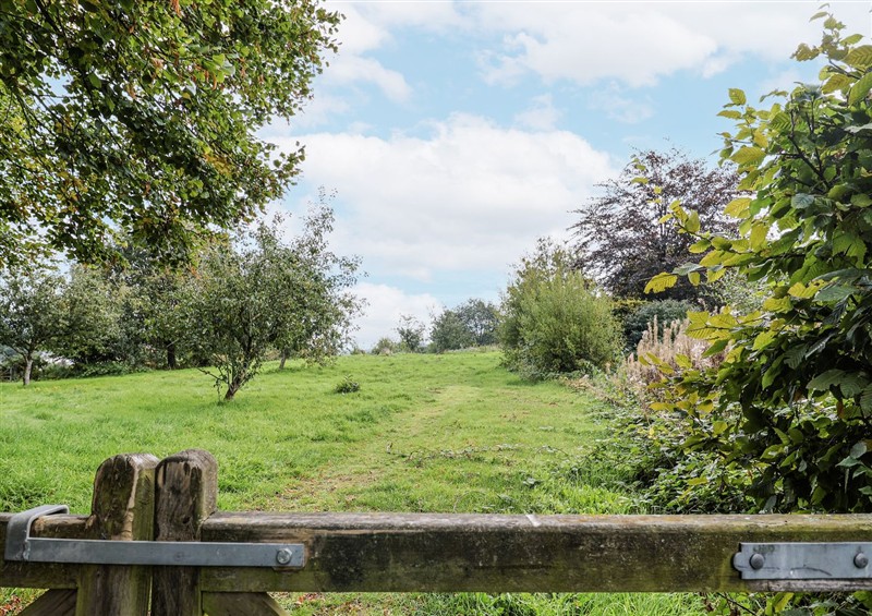 The setting around Rushmoor Cottage at Rushmoor Cottage, Colaton Raleigh