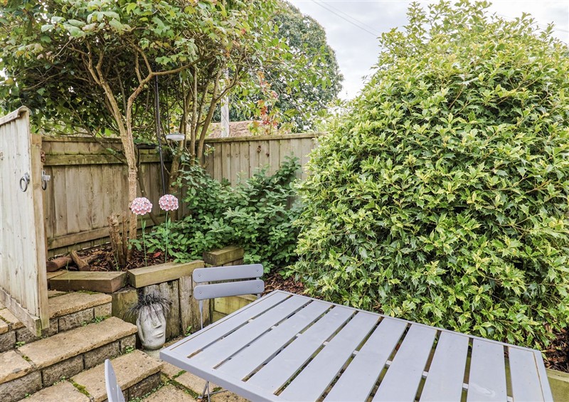 This is the garden at Rushmoor Cottage, Colaton Raleigh