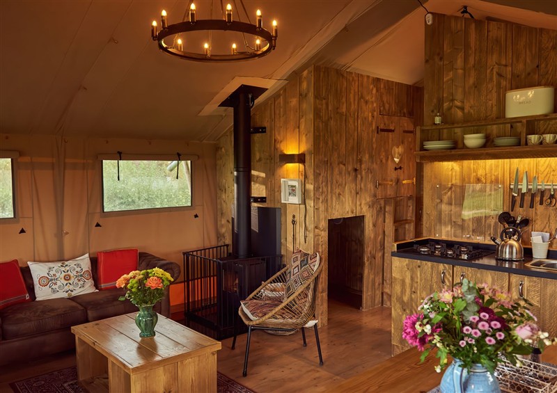 The setting of Russet Lodge at Russet Lodge, Glastonbury