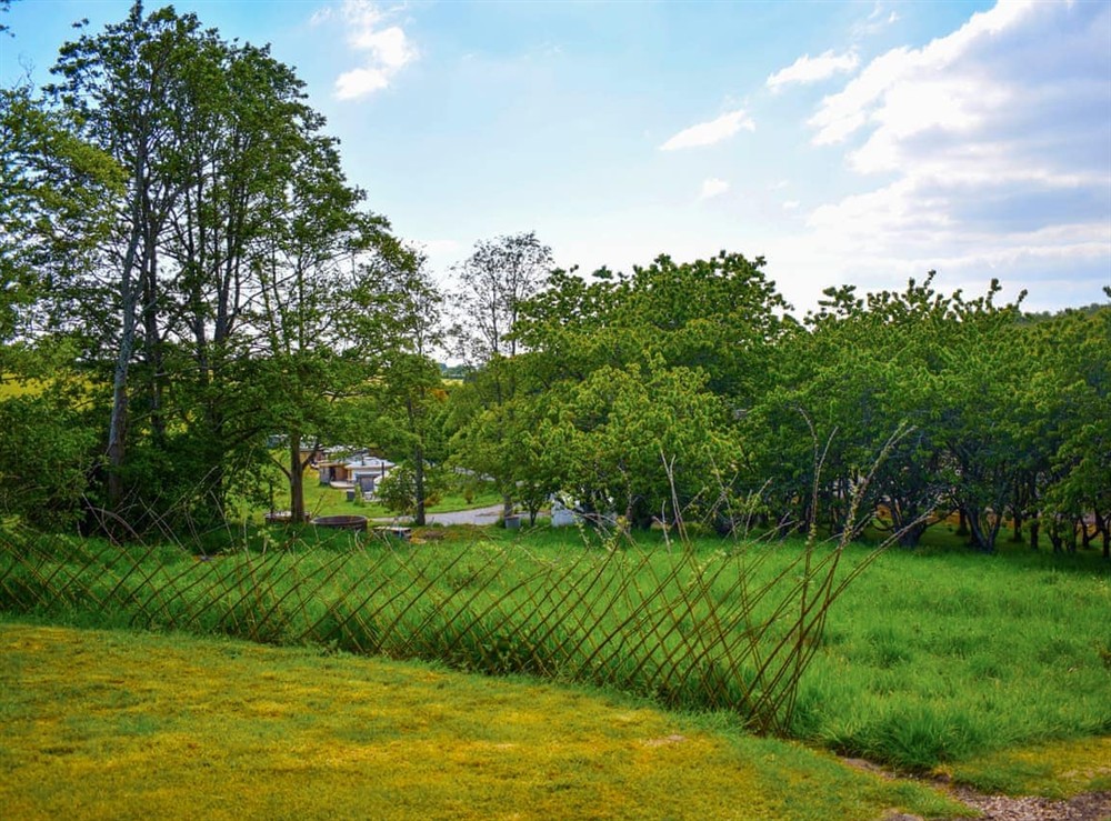 Surrounding area at Russet Yurt in Beaminster, Dorset