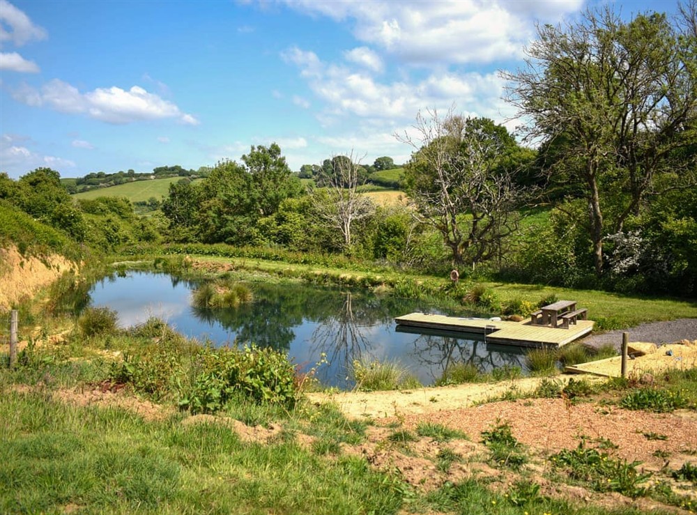 View at Russet Yurt in Beaminster, Dorset