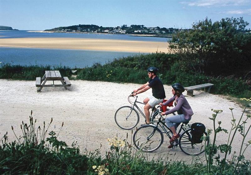 Camel Trail at Ruthern Valley Holidays in , Cornwall