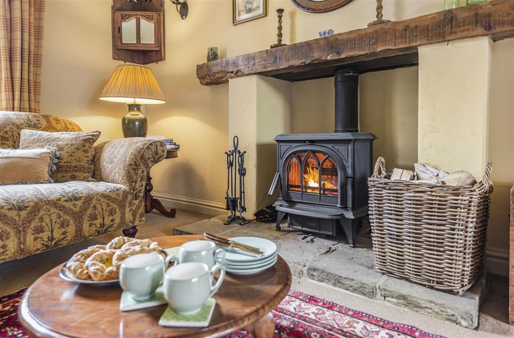 Cosy nights in front of the wood burning stove (photo 2) at Ryall Hope Cottage, Bridport