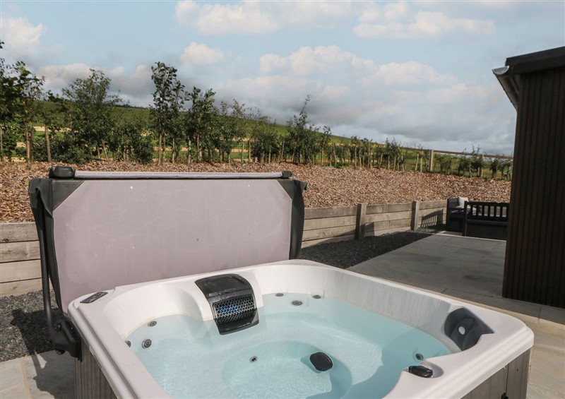 The hot tub at Rydlan, Near Borth