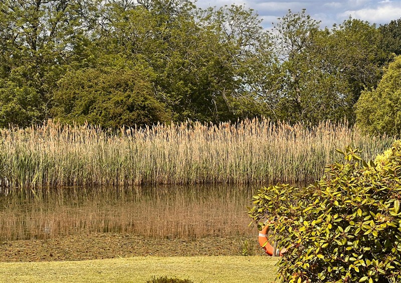 The setting at Sabi, Gembling near Beeford