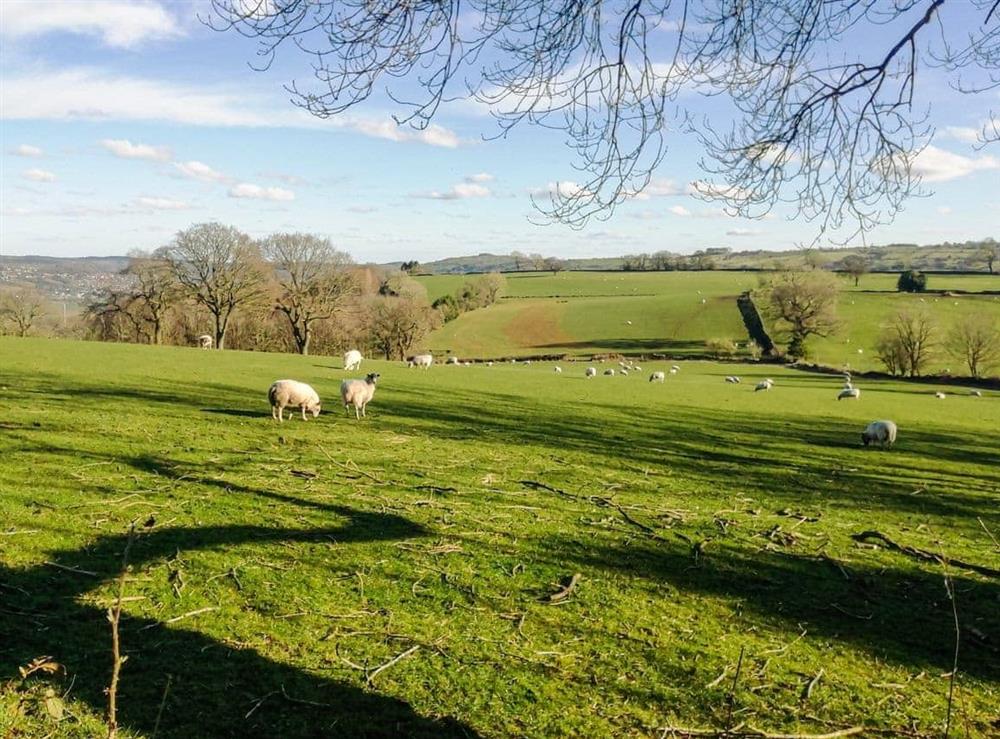 View at Sabine Hay Barn in Birchover, near Matlock, DerbyshireDerbyshire, England