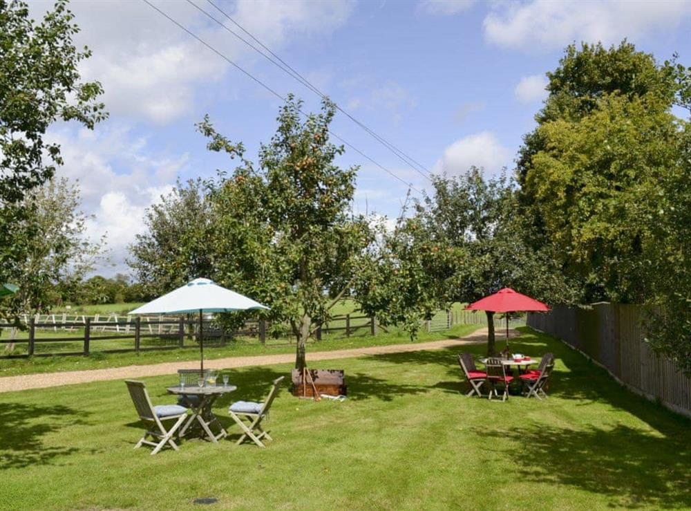 Shared, lawned, orchard garden with furniture at Saddle Room in Martin, Fordingbridge, Hants., Hampshire