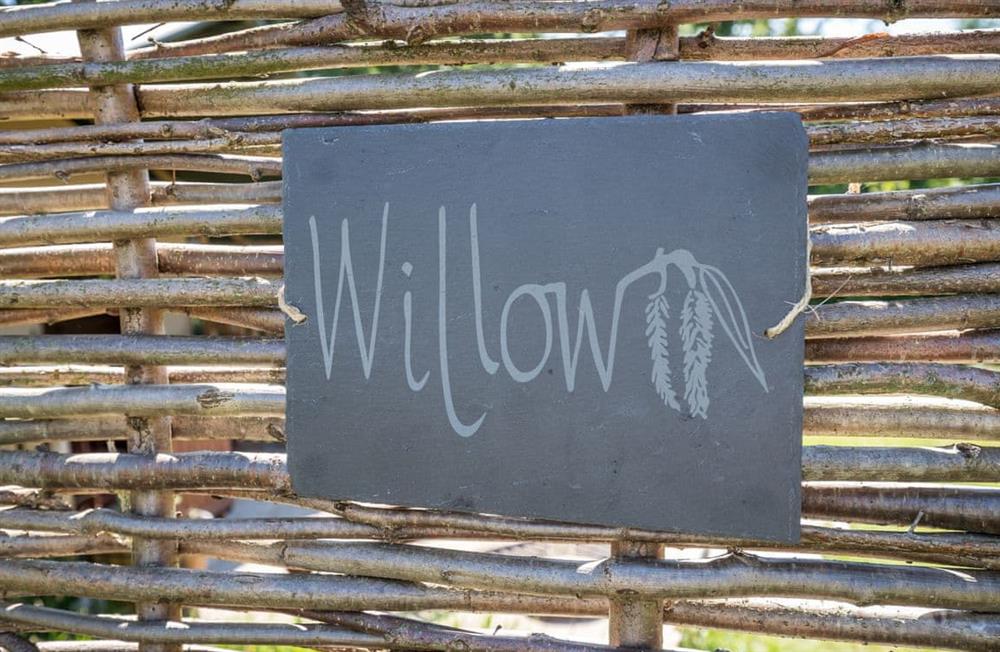 Willow Tree Safari