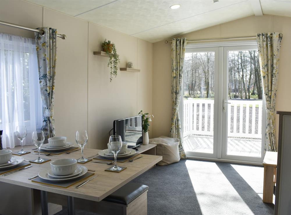 Open plan living space (photo 2) at Saffron in Banchory, Aberdeenshire