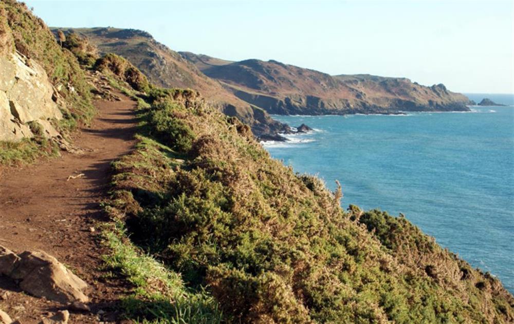 The stunning South West coast path at Salcombe Fields in Malborough