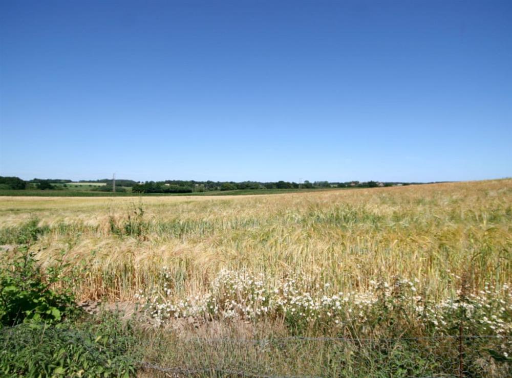 View at Sallys Nest in Halesworth, Suffolk