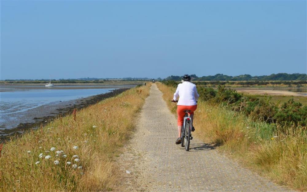 Lymington and Keyhaven nature reserve showing sea wall walk at Saltbox Cottage in Lymington