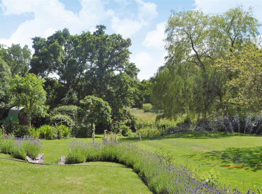 Garden and grounds at Salters Cottage in Boldre, near Lymington, Hampshire