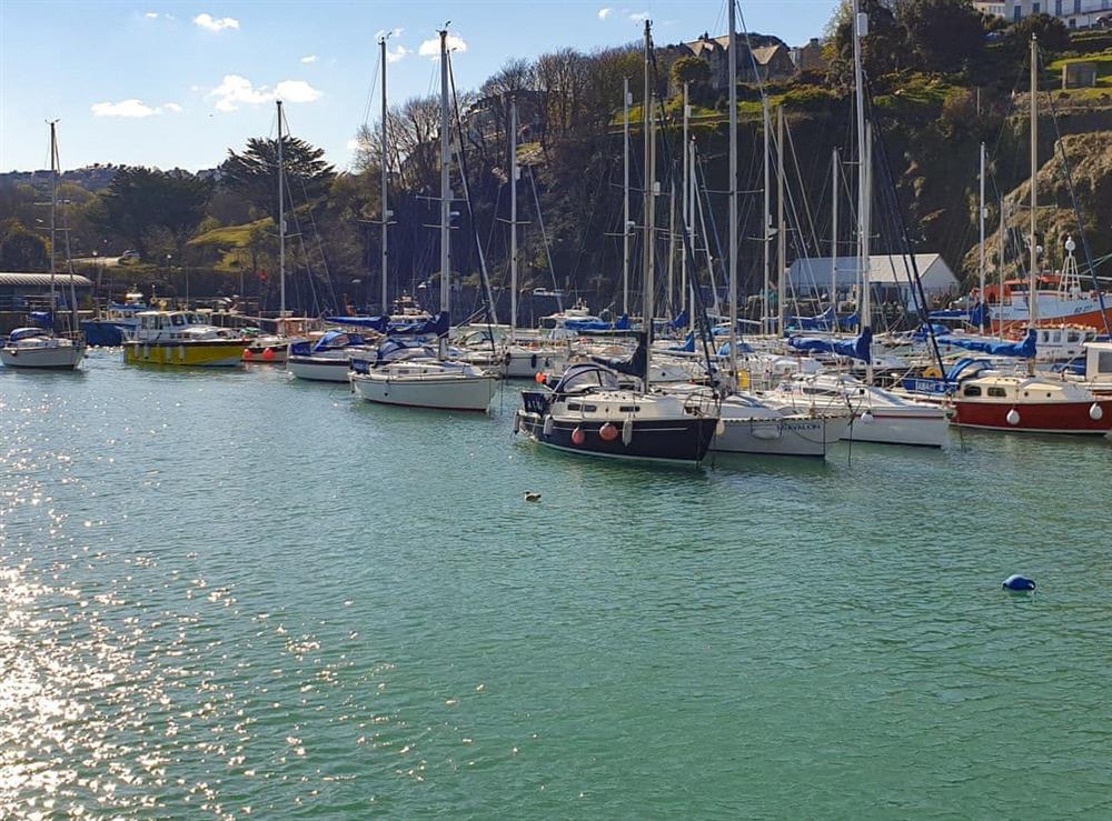 Ilfracombe Harbour at Saltwater Pearl in Ilfracombe, Devon