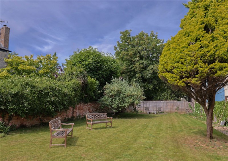 The garden in Saltwind at Saltwind, Lyme Regis