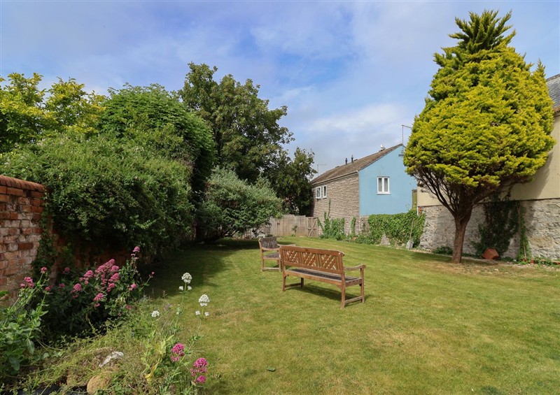 The garden at Saltwind, Lyme Regis