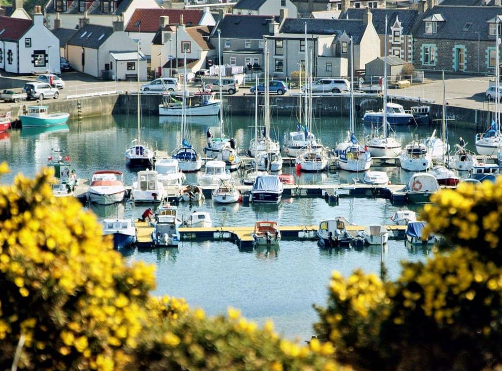 Great position overlooking the tranquil marina at Salty Dog in Findochty, near Buckie, Banffshire