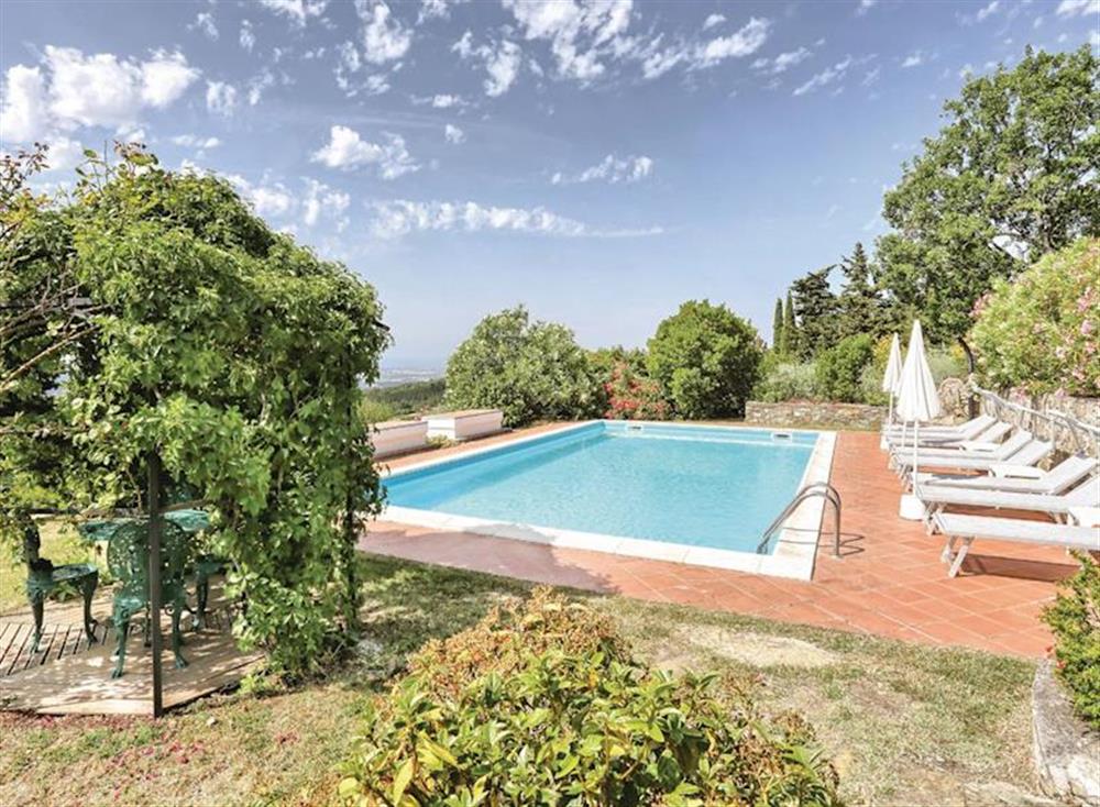 Swimming pool (photo 2) at Salvanella in Riparbella, Italy