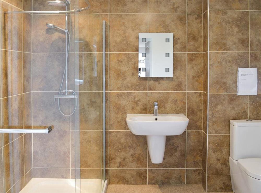 Tiled shower room at Samphire in Brixham, Devon