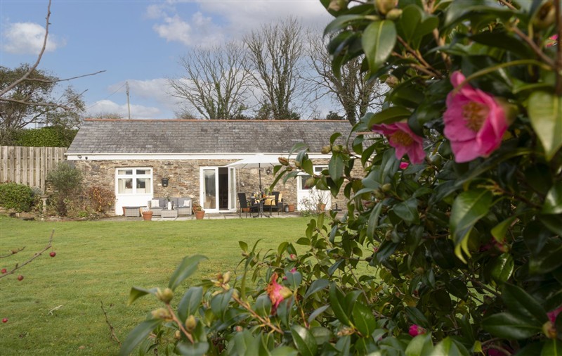 The garden (photo 2) at Samson Cottage, Cornwall
