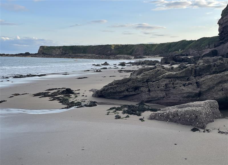 In the area at Sandeel Bay, Hookless Village near Fethard-On-Sea