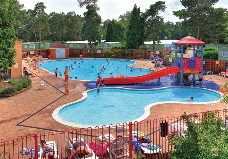 Outdoor heated pool at Sandford in Sandford, Poole