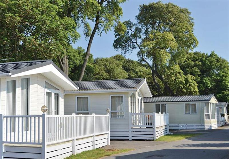 The park setting (photo number 3) at Sandhills Holiday Park in Dorset, South West of England