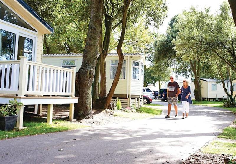 The park setting at Sandhills Holiday Park in Dorset, South West of England