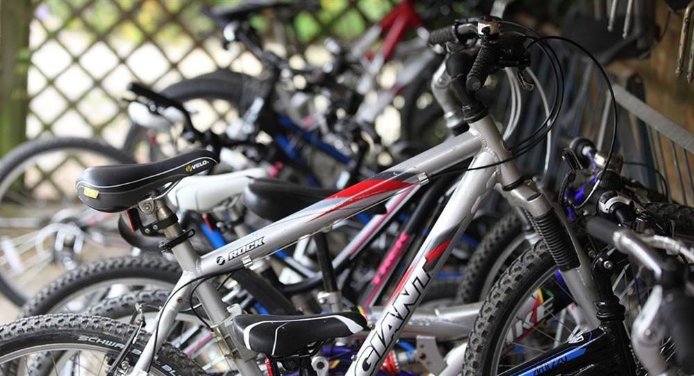 The bicycles that are available to hire