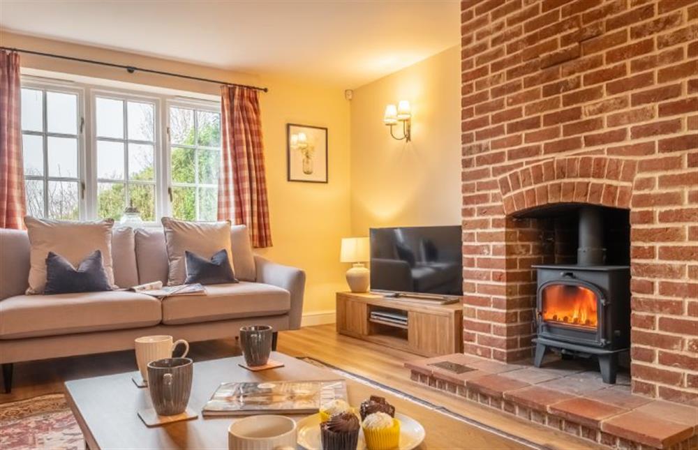 The cosy sitting room at Sandpiper Lodge, Great Walsingham