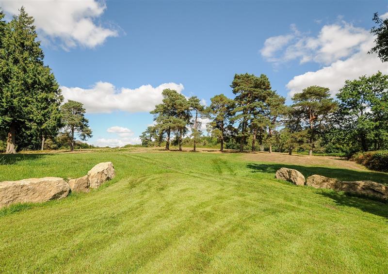 Rural landscape