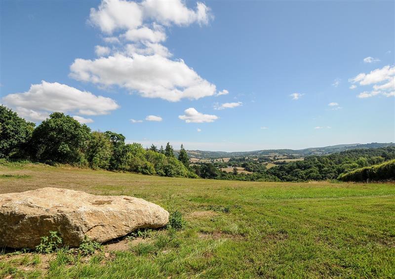 Rural landscape